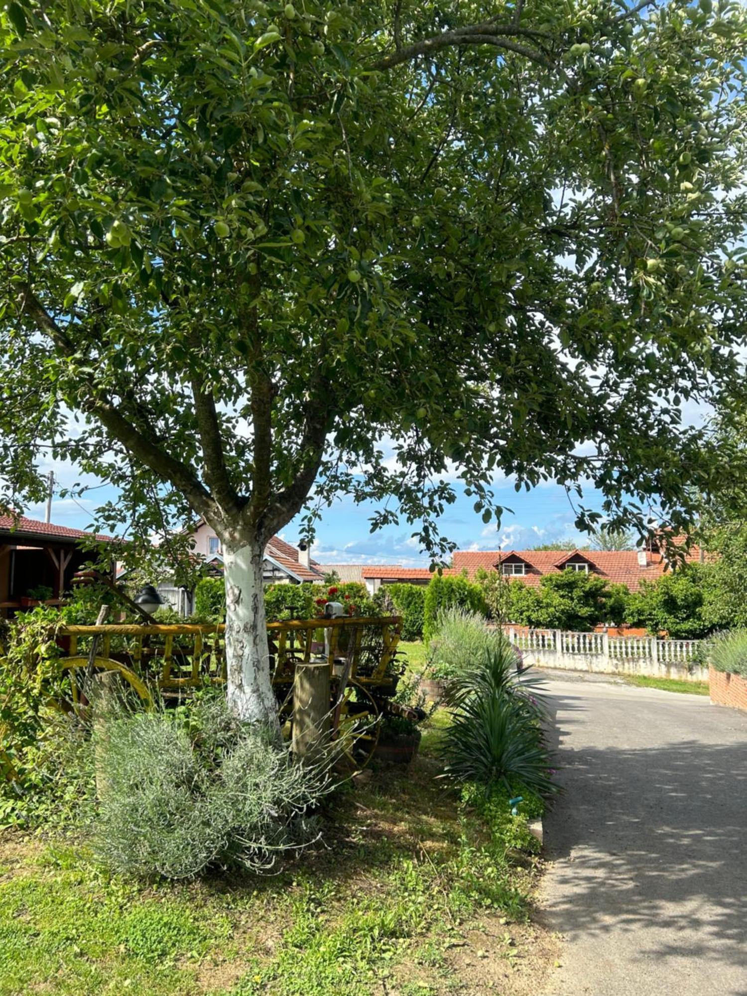 Lukac Campsite Kutina