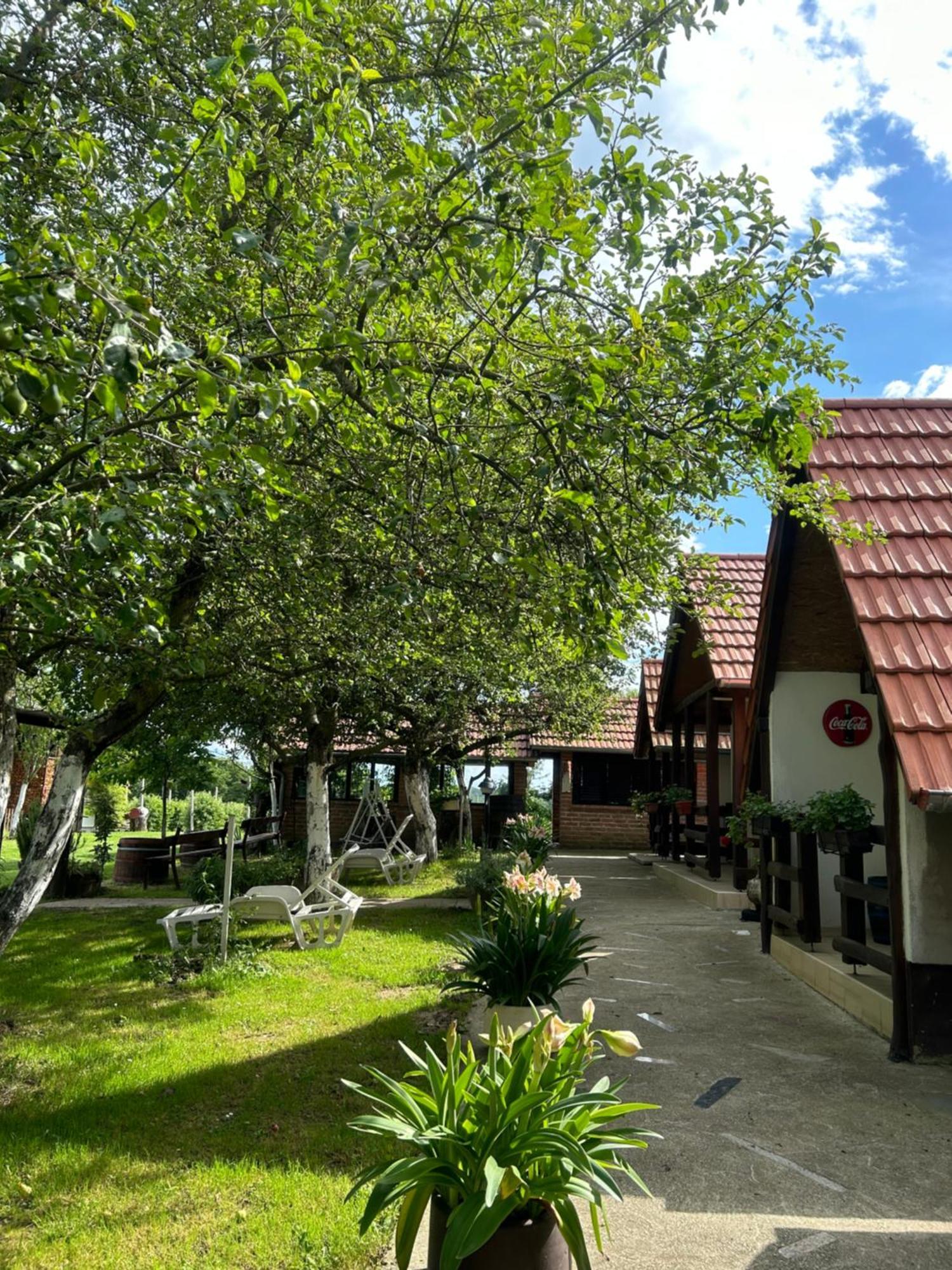 Lukac Campsite