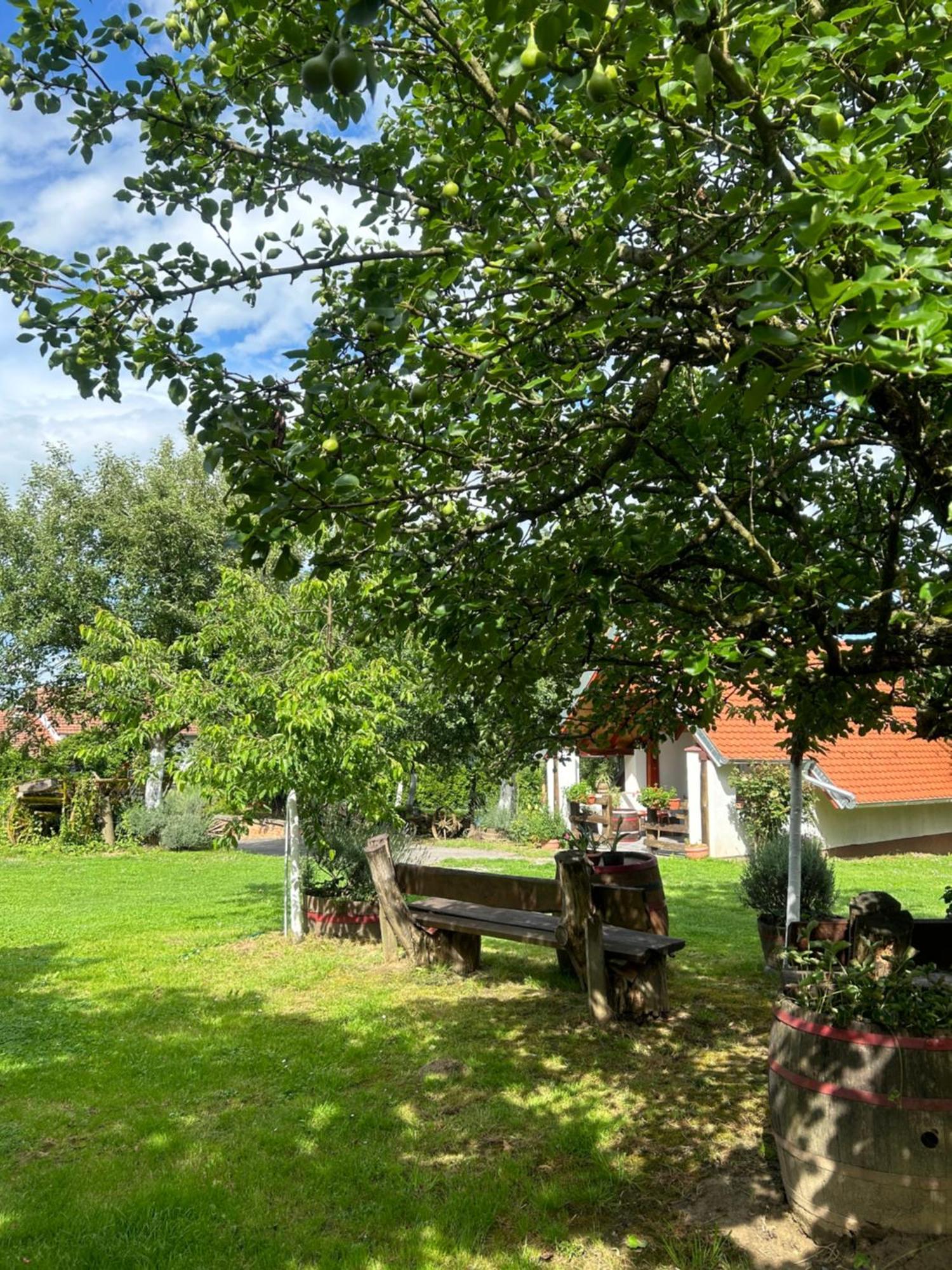 Campsite Lukac